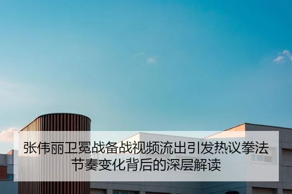 张伟丽卫冕战备战视频流出引发热议拳法节奏变化背后的深层解读